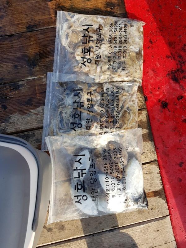 56c01b9c61bb3daf4cc05b19772e9d60_mini.jp