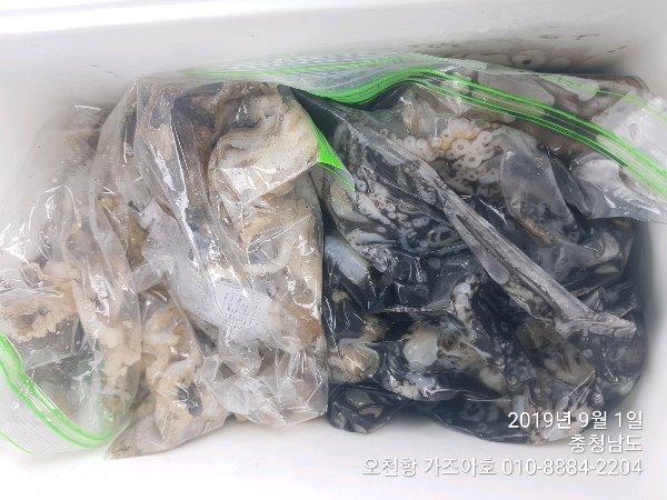 584bda95c668fb4947f28a6aebe462b1_mini.jp