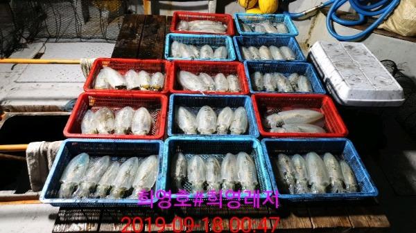 DateCamera0918004717.jpg 5b0e7184915e6aa88453ee31b33d45e1_mini.jp