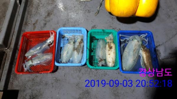 67cf0bfee35742782babd1e6f2a460f8_mini.jp