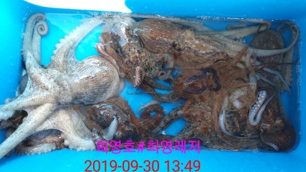 DateCamera0930134918.jpg 6ad221553d0fdd1c958b8a2d1744710a_mini.jp