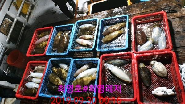 DateCamera0930001643.jpg 6d4d59596787e2a914f6fca63c5e70bd_mini.jp