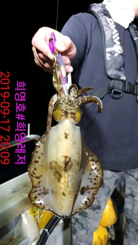 DateCamera0917200934.jpg 7fb1dfd76557255278ba284b8c48ebc0_mini.jp