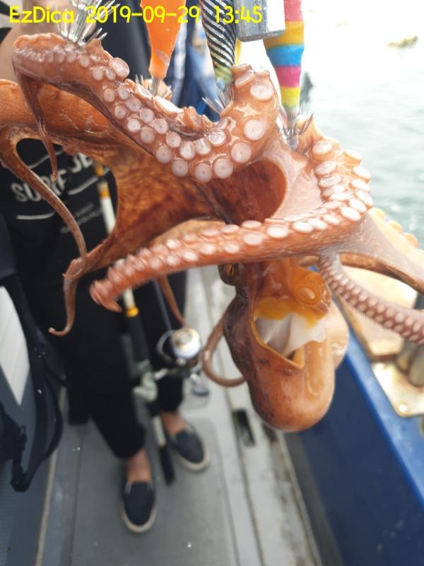 20190929_134558.jpg 89328d9c04f6ab2fcca0f51e8f72516b_mini.jp