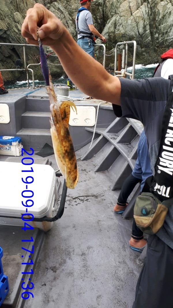93b8aa8c3ae39599a1099d2b49febf06_mini.jp
