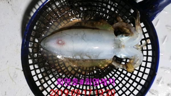 DateCamera0917192030.jpg 9925cf713e3f5484797c66a49455f89b_mini.jp