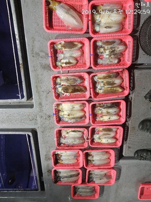 9dace15be890edd658891f3aaec10c7f_mini.jp