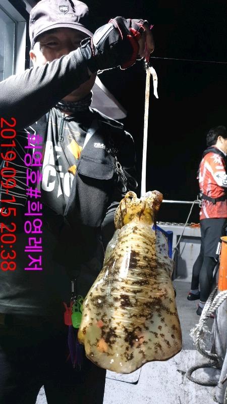 DateCamera0915203827.jpg a13ce9a2ea47b090f6455f30cb64ff12_mini.jp