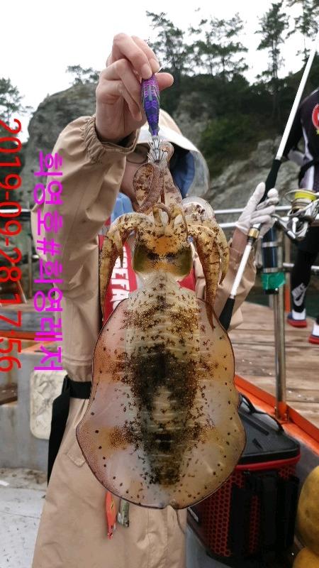 DateCamera0928175645.jpg c7a2cfb451203cc634454d891b426c2a_mini.jp