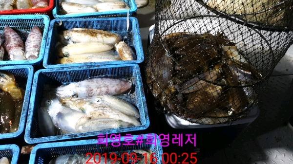 DateCamera0916002508.jpg d635b1e3188765a86c644ff227104f0d_mini.jp
