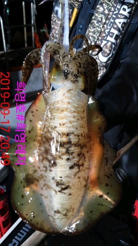 DateCamera0917204959.jpg e77c5e68303392613a2959cb758a26a6_mini.jp