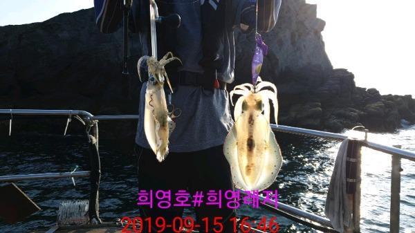 DateCamera0915164625.jpg ed5acfc27b9cf651609851e39434013e_mini.jp