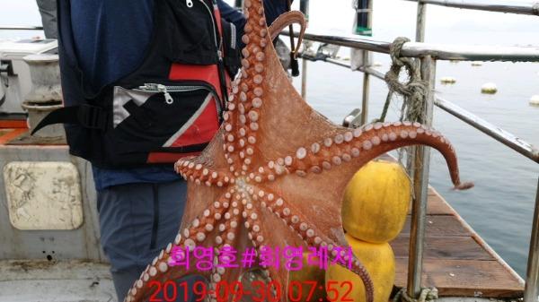DateCamera0930075259.jpg fb86a42630147ec534d62b55df44e4ce_mini.jp