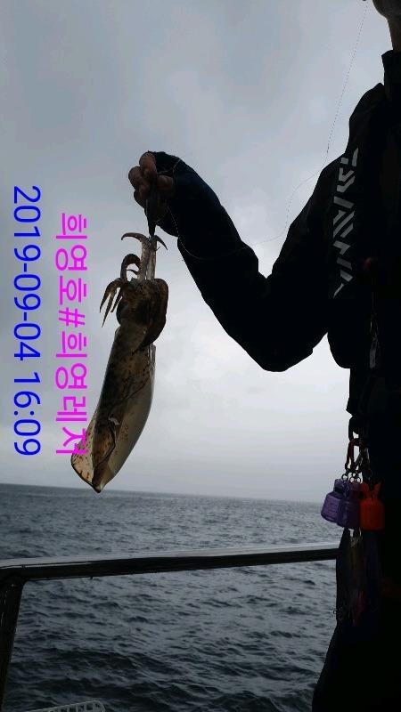 DateCamera0904160945.jpg fd7d13d8dc2a18f3b9b1615371c9ed34_mini.jp