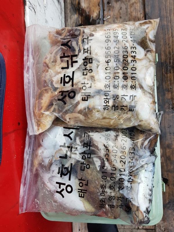 24d6cc2b747c511c3ab8dadb2b99ef79_mini.jp