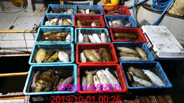DateCamera1001002636.jpg 2bc96ddcafad4c6cccff57153e248fc0_mini.jp