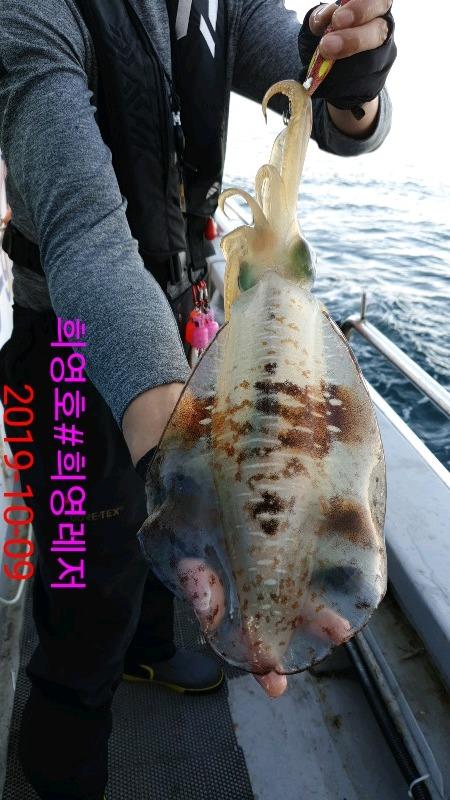 DateCamera1009170924.jpg 2f753bb090f4e95f36c551c75dbf37e8_mini.jp