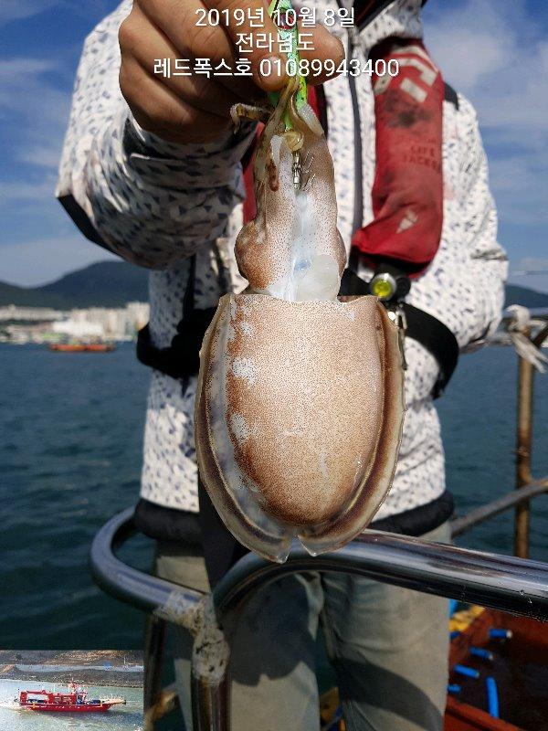 3c24a6138b0b730caccdcb42ea30e57a_mini.jp