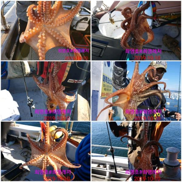 20191010_100823.jpg 4e64a224bf1af5ecf17196b687f544dd_mini.jp