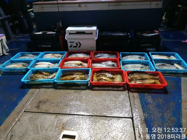 TimePhoto_20191001_005337.jpg 55efba4e58e0e37967a4a86c71f089a2_mini.jp