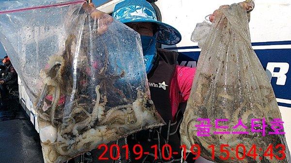 KakaoTalk_20191019_151410793.jpg