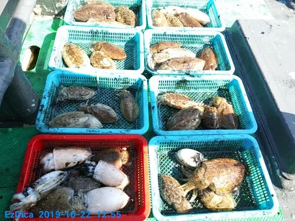 5cfb0ee6130068ee9b56a48cd9abe093_mini.jp