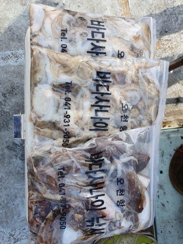 KakaoTalk_20191025_203424924_03.jpg