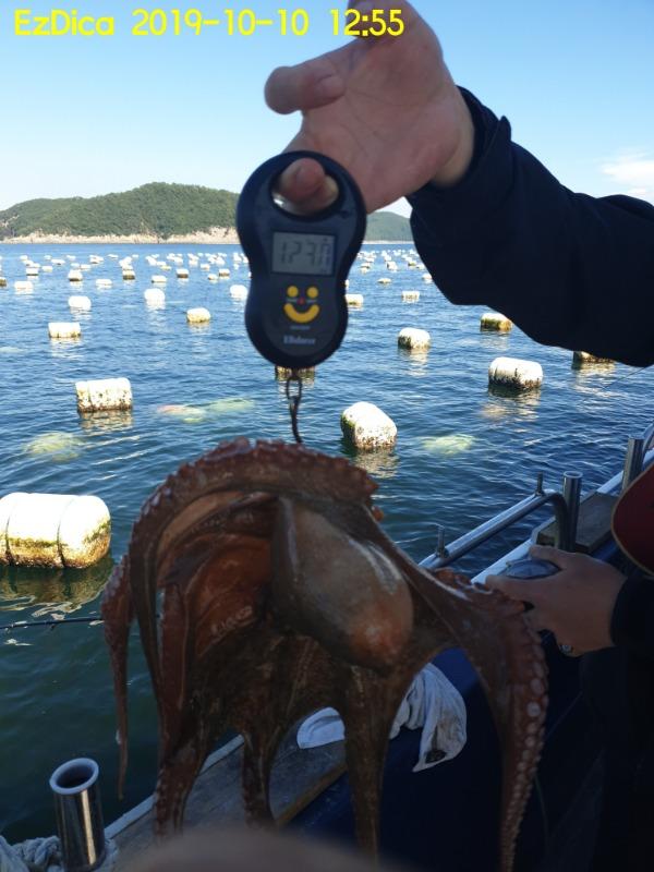 20191010_125501.jpg 6fa402408a7e9b36d94b766ce2ed1414_mini.jp