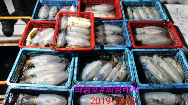 DateCamera1009233738.jpg 7897b57a8c4b4d86f916a8aa53a31e35_mini.jp