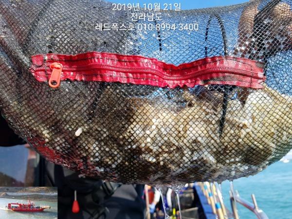 TimePhoto_20191021_143228.jpg