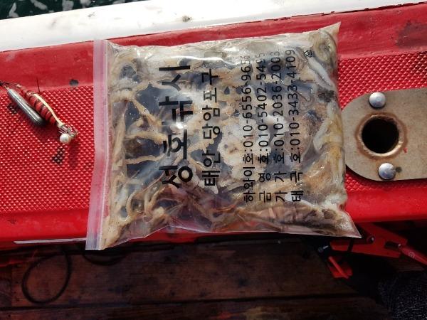 849dcb23087681d279c56d149ea1a2b2_mini.jp