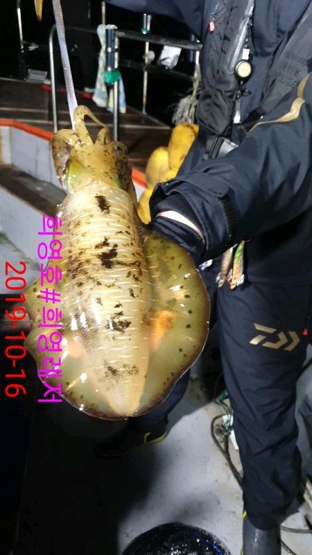 99affd237b961ea8b931d86e6499b84c_mini.jp