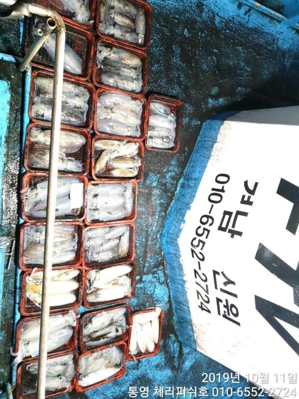b146416bb45ffc654ea1b4c2f9a290cb_mini.jp