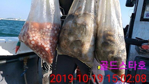 KakaoTalk_20191019_151412638.jpg