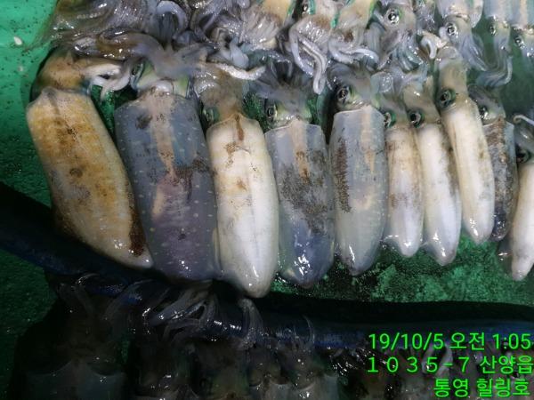 bbc7d7cb5e67c3854215d3d2f5f06a38_mini.jp