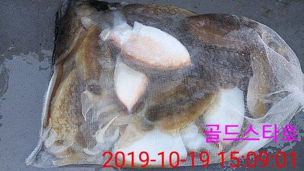 KakaoTalk_20191019_151410181.jpg
