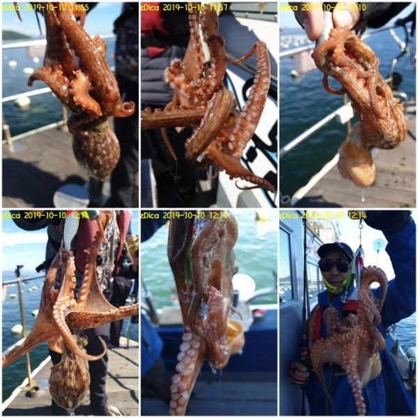 20191010_144134.jpg be07ff0736a3c3d8e1e29ca264782c42_mini.jp