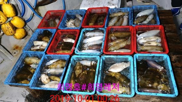 DateCamera1001002631.jpg c9635140a68dd24c47ea78e49f628349_mini.jp