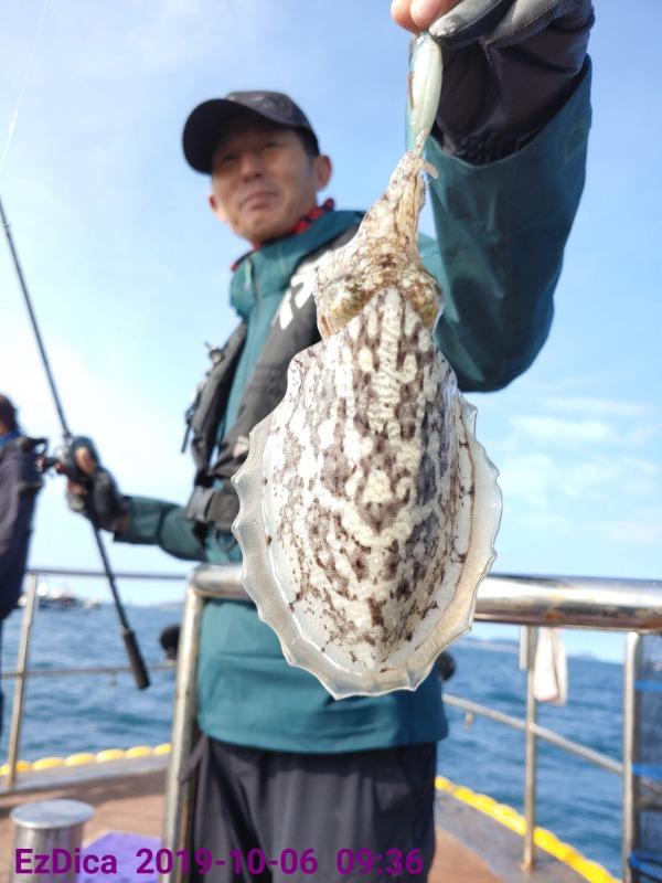 cc7732a949bea93e5eea7fa5d8e9dab0_mini.jp