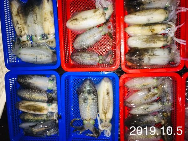 e2c9a29b4b629377560379af4c799c25_mini.jp