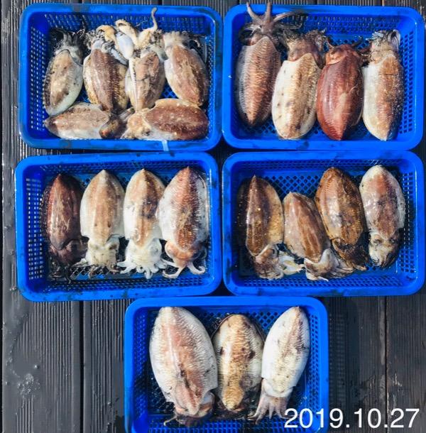 e6e5122a1ba77fd781563fa1d016d8c6_mini.jp