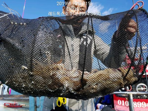 TimePhoto_20191021_143121.jpg