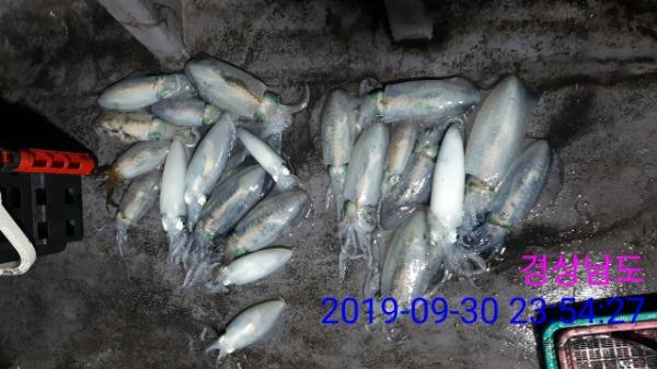 e9ccda9ac6db3cfa4ff6b602694bfab9_mini.jp