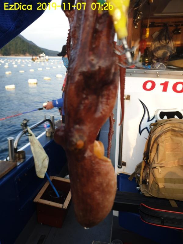 20191107_072636.jpg
