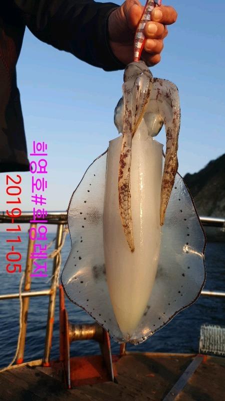 DateCamera1105164705.jpg
