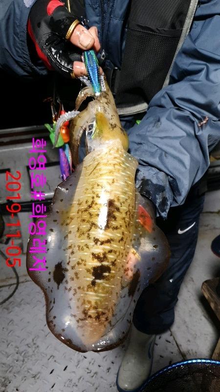 DateCamera1105221352.jpg