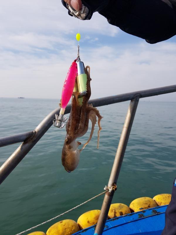 Resized_20191123_131737.jpeg