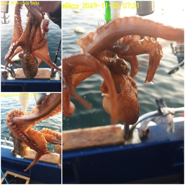 20191105_151334.jpg