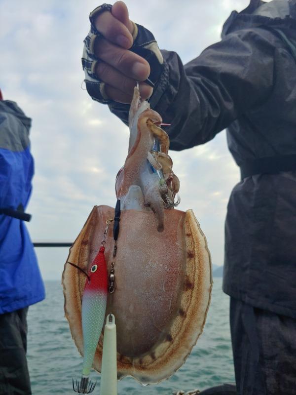 20191124_084020_HDR.jpg