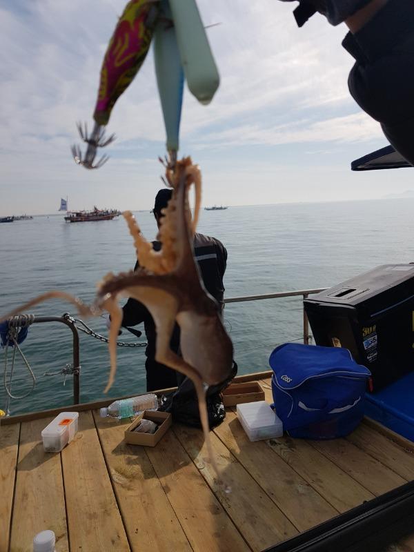 Resized_20191123_132928.jpeg